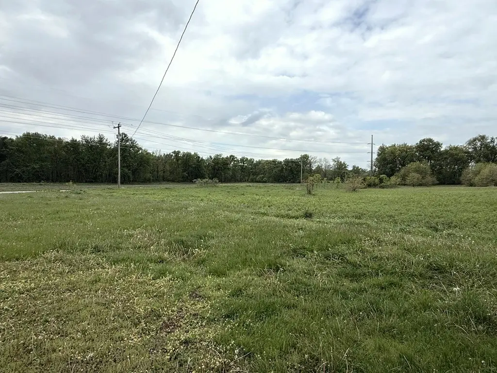 Picture 25