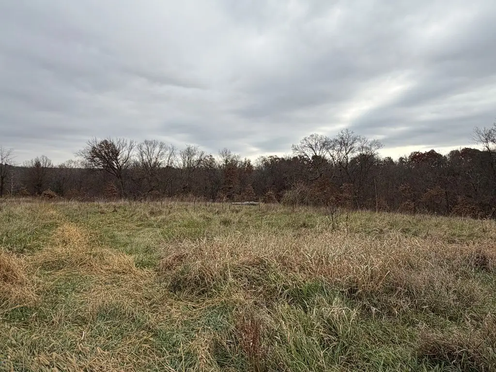 Picture 16