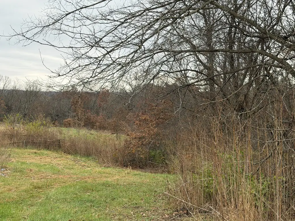 Picture 15