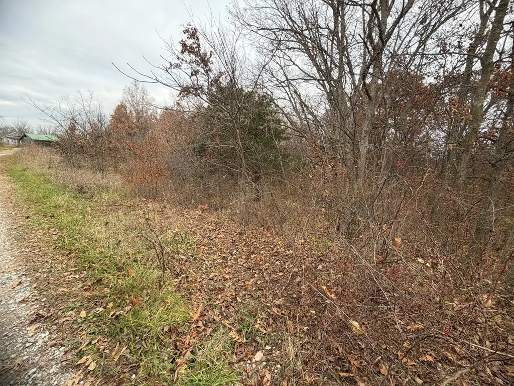 Picture 19