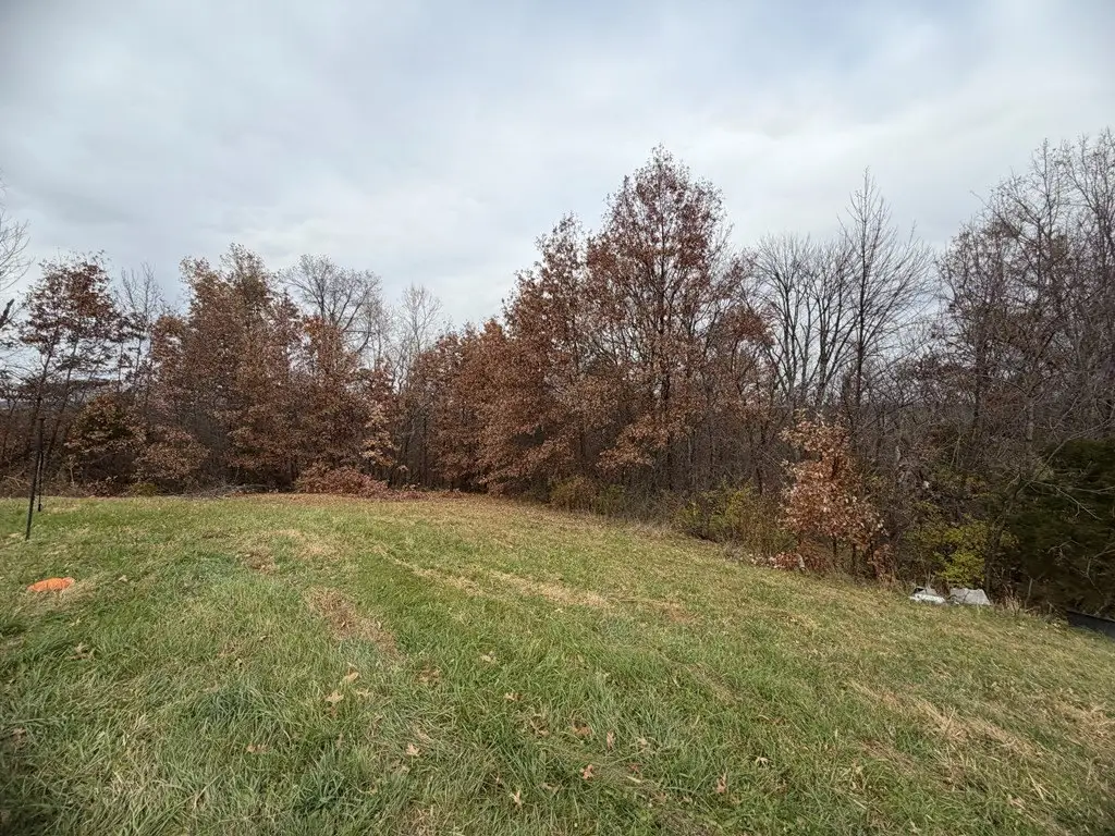 Picture 8