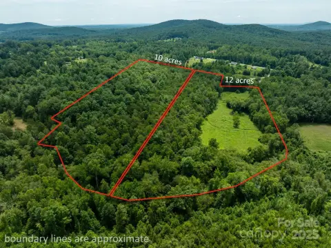 10-Acre Wooded Tract in Lenoir
