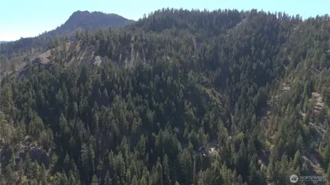 Peshastin Land with Timber