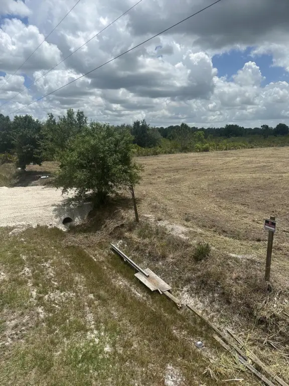Picture 2