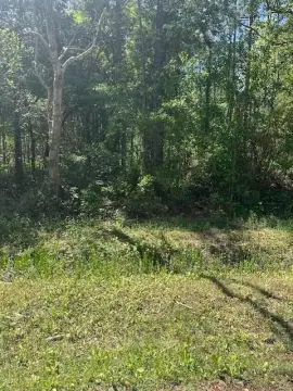 Wooded Lot Near Bay Beaches