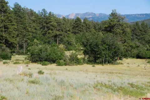 Pagosa Springs Land For Sale