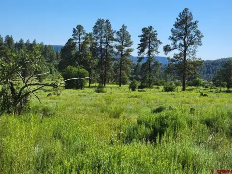 Pagosa Springs Land For Sale