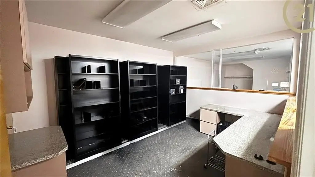Picture 8