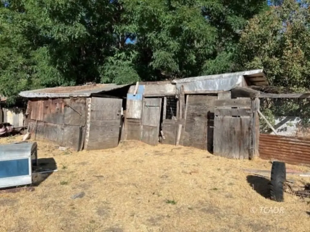 Picture 12