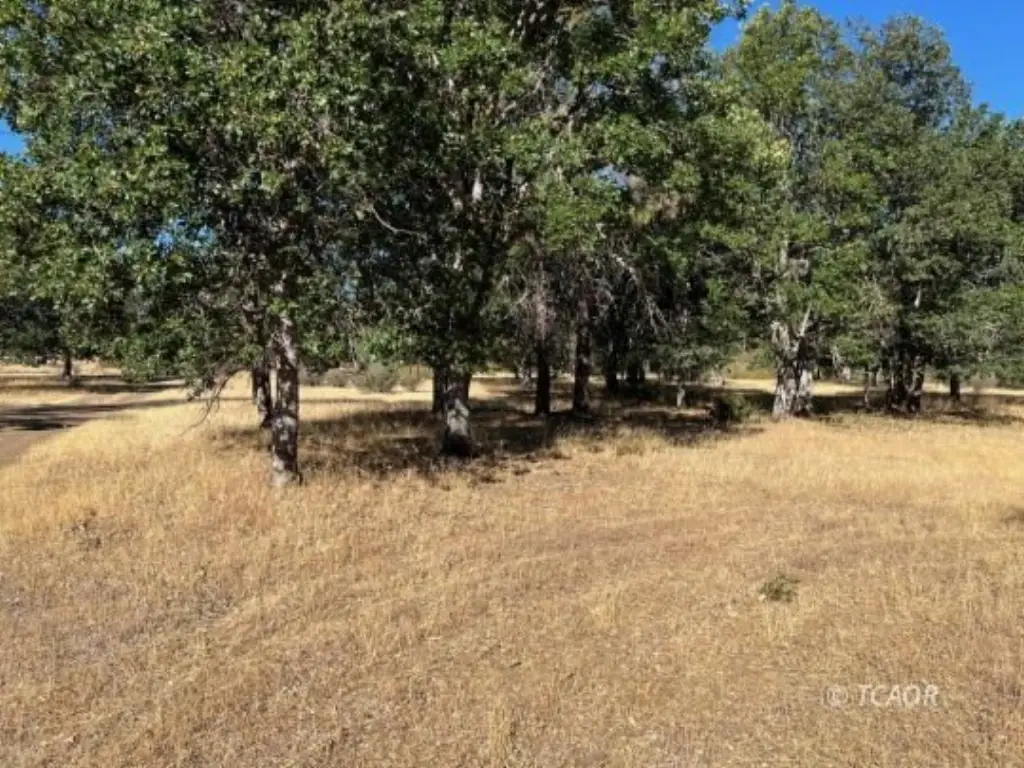 Picture 26