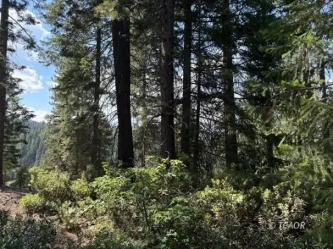 Land Near Lake Siskiyou