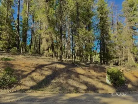 Hayfork Vacant Land For Sale