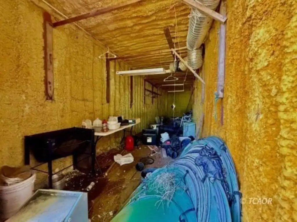 Picture 24