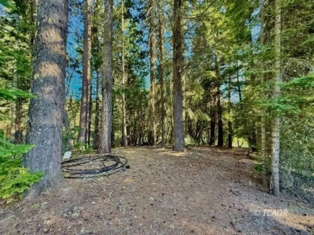 Picture 27