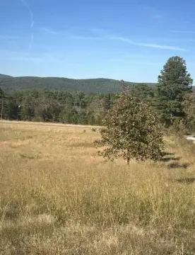 Nashoba, OK Vacant Land