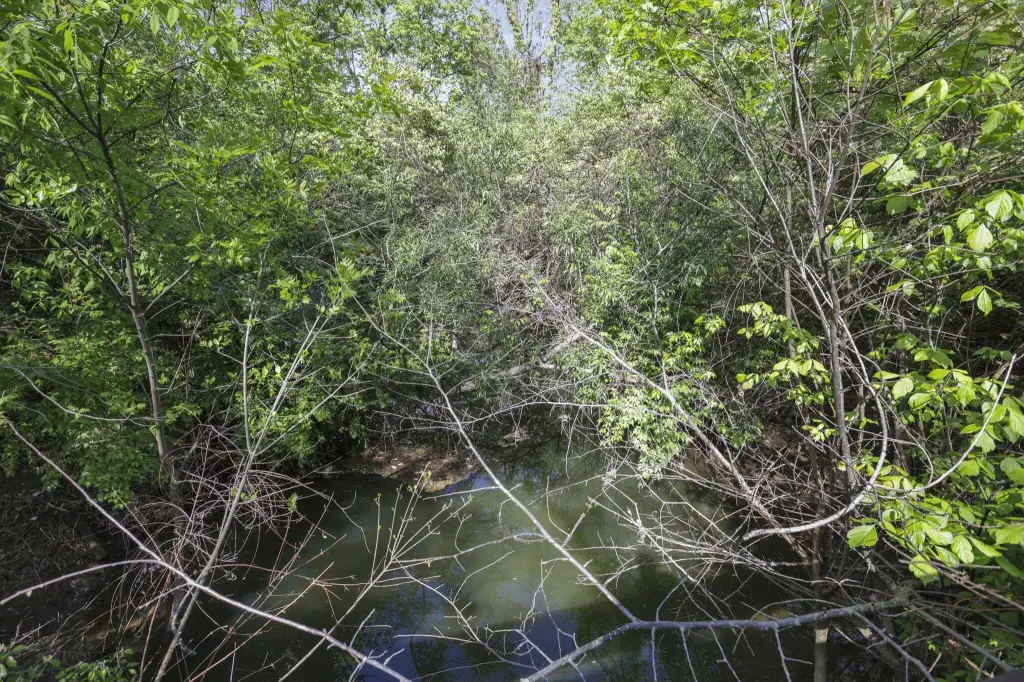 Picture 6