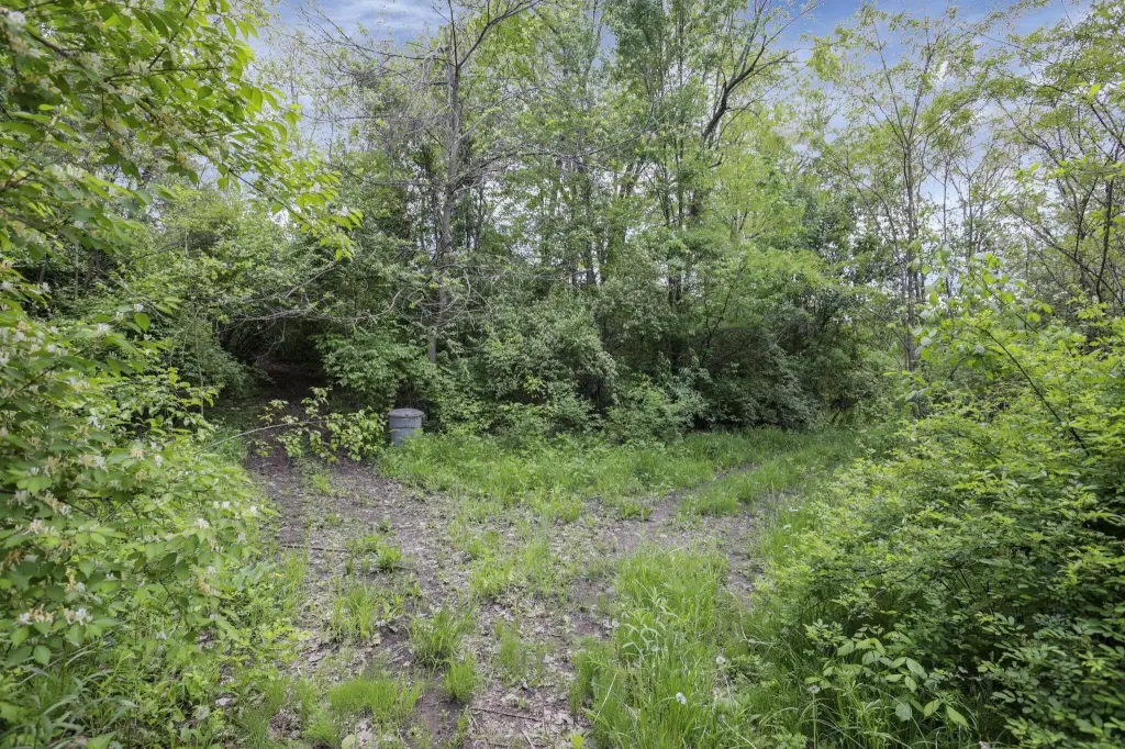 Picture 10