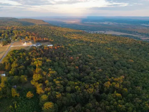 Wooded Mountain Land