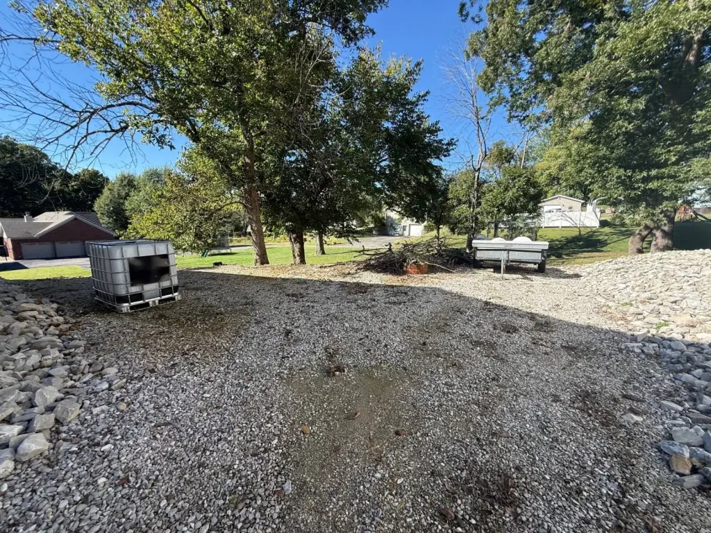 Picture 5