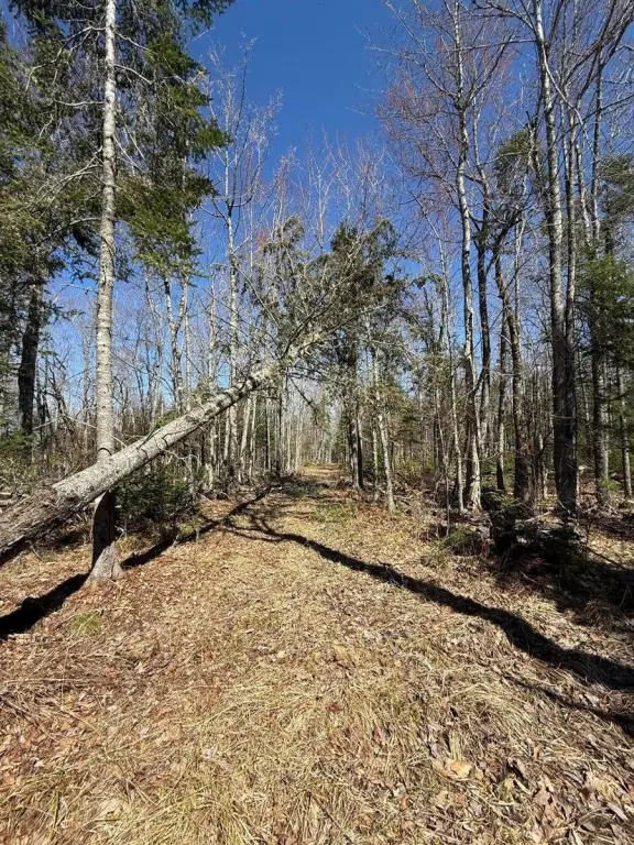 Picture 4