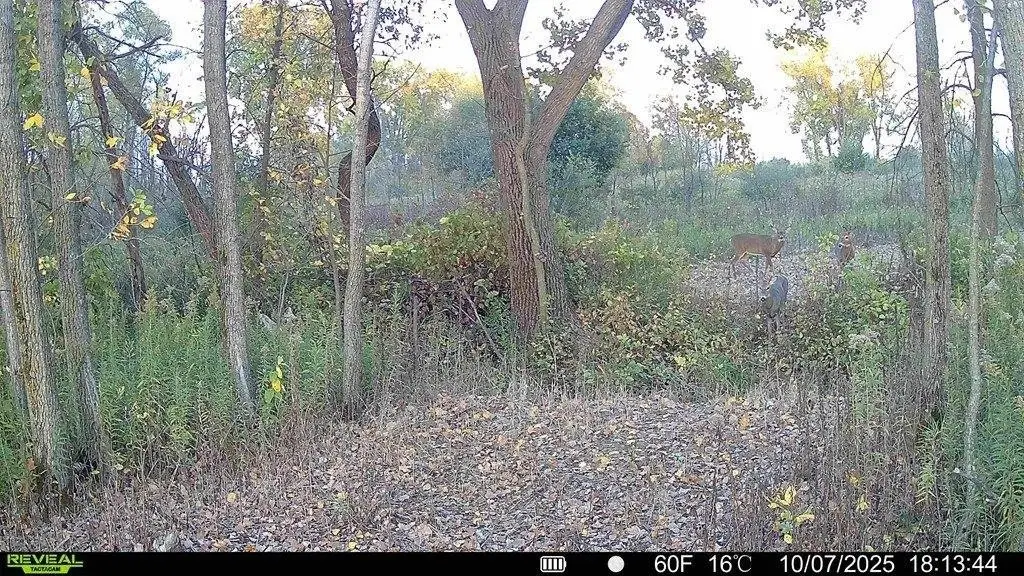 Picture 16