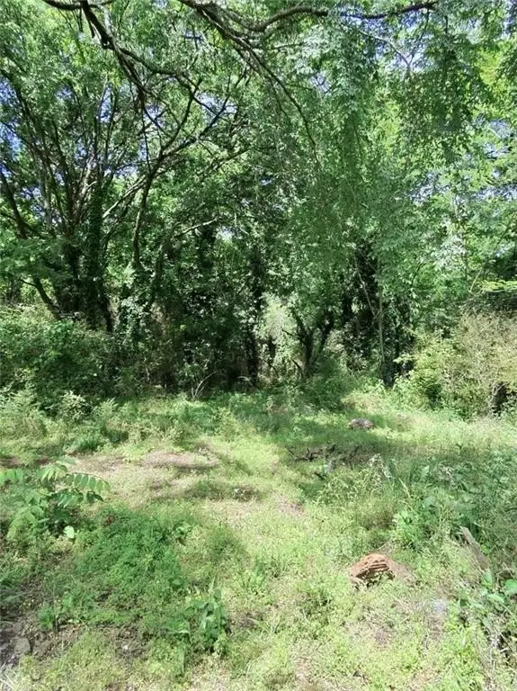 Picture 14