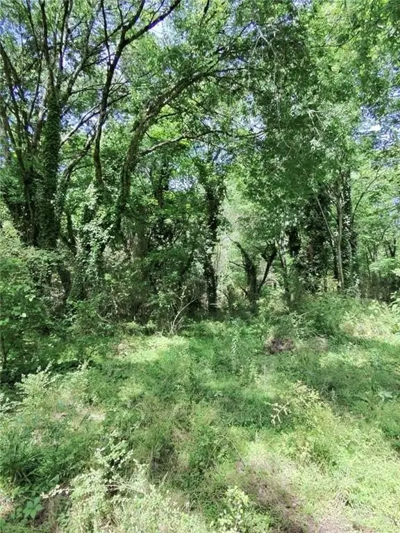 Picture 16