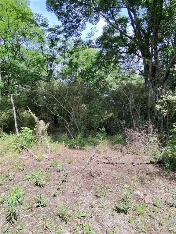 Picture 16
