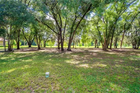 Lakes of DeLand Luxury Lot