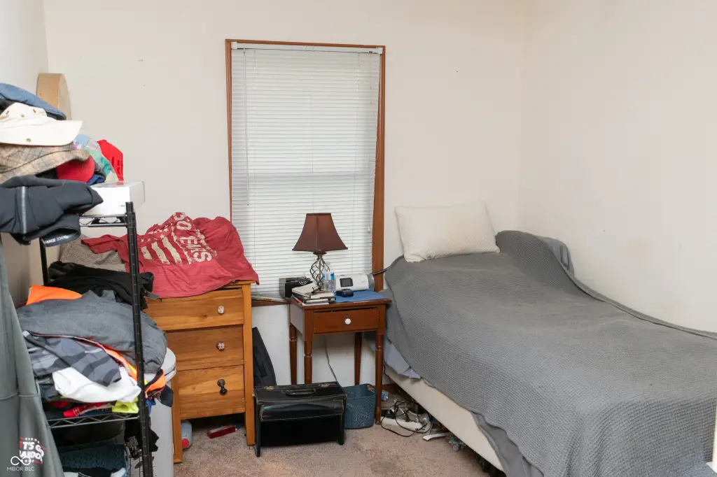 Picture 14
