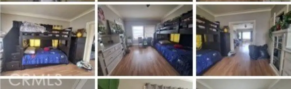 Picture 16