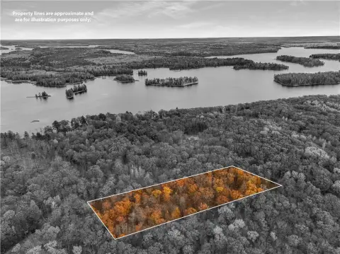 Wooded Land Near Chippewa Flowage