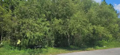 Carrabelle, FL Residential Lot