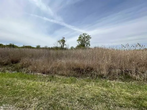 Harsens Island Vacant Land
