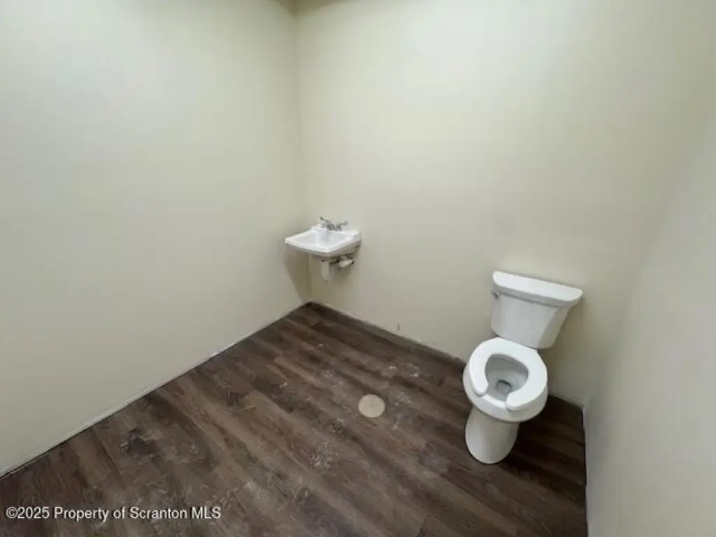 Picture 19