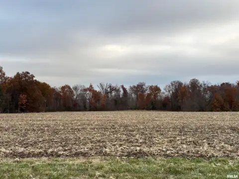 Residential Land in Odin, Illinois