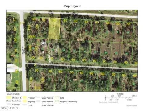 Residential Land in Punta Gorda