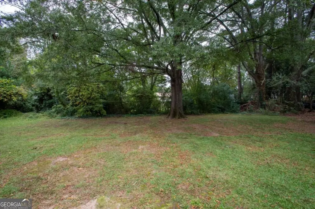 Picture 19