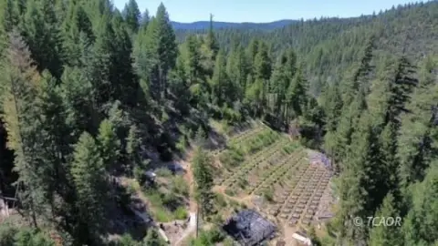 Trinity Pines Vacant Land Parcel