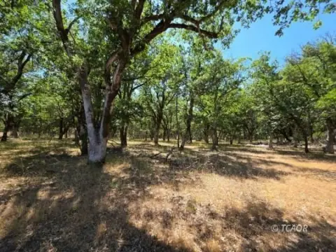 Hayfork Land with Mountain Views