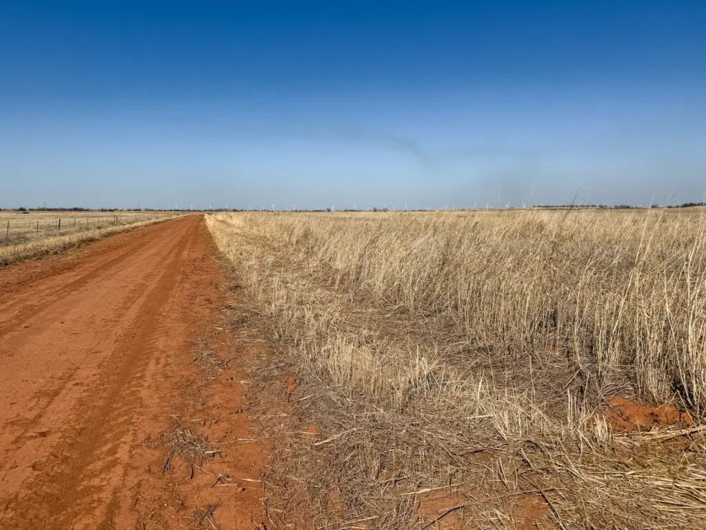 Picture 22