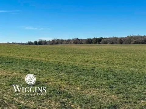 Ringwood Vacant Land Auction Opportunity