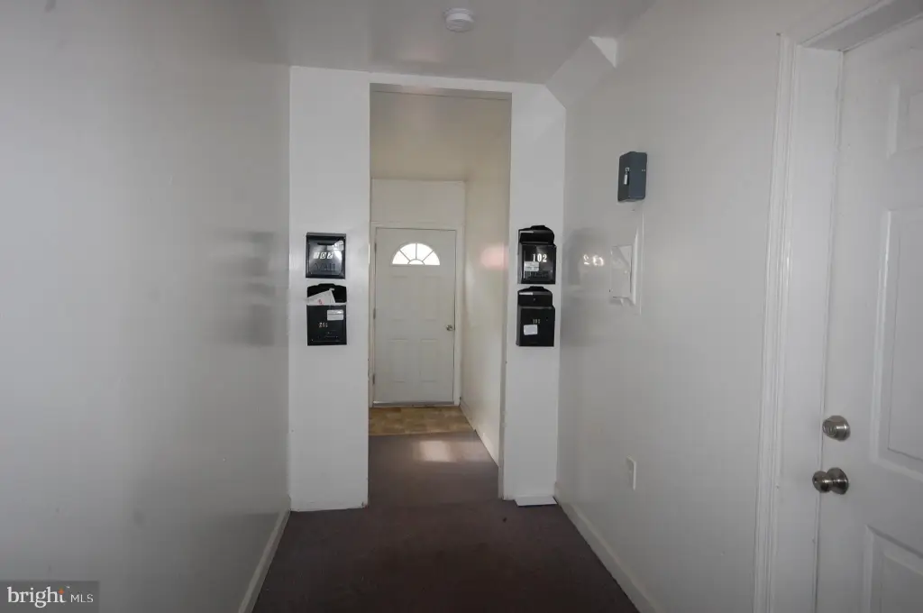 Picture 5
