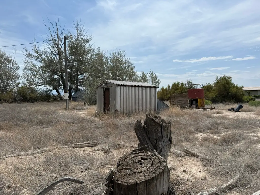Picture 11