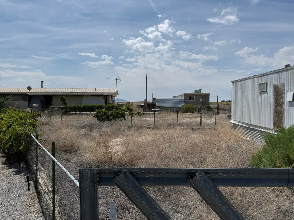 Picture 14