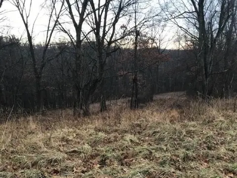 Wooded Land in Newark, Ohio