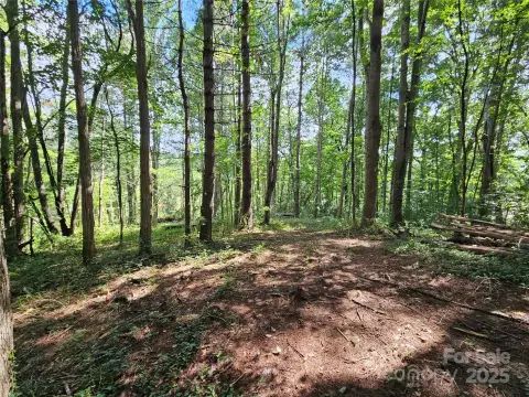 Spacious Lot Near Downtown Waynesville