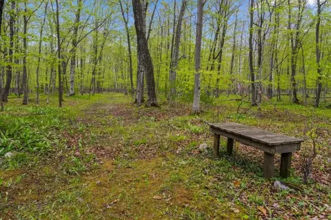 Wooded 6-Acre Parcel Near Ellison Bay