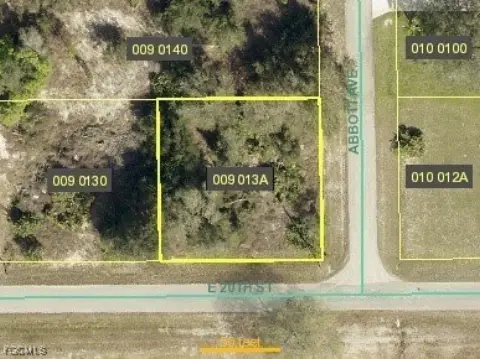 Residential Land in Alva, Florida