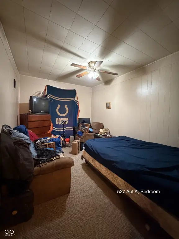 Picture 24